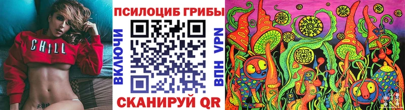 купить наркотик  Болохово  MEGA tor  Галлюциногенные грибы мицелий 
